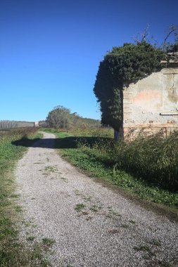 İtalya kırsalındaki bir patikanın kenarındaki çimenlikte terk edilmiş bir bina.