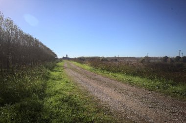 İtalya kırsalında çan kulesi ve kilise olan bir tarla ve bir ağaç çiftliğinin yanındaki patikada güneş ışığı gören bir çan kulesi.