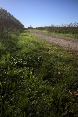 İtalya kırsalında çan kulesi ve kilise olan bir tarla ve bir ağaç çiftliğinin yanındaki patikada güneş ışığı gören bir çan kulesi.