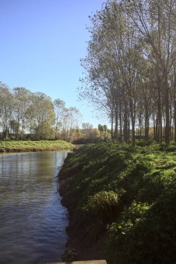 İtalya 'nın kırsal kesimlerinde nehir kıyılarında ağaç fidanlıkları kıyıdan görünen sulara dökülüyor.