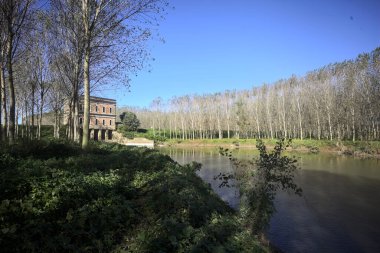 İtalya 'nın kırsal kesimindeki nehir kıyısındaki bir ağaç plantasyonundan görülen bir barajın üzerindeki tarihi bina.