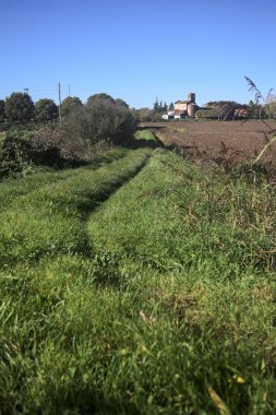 İtalya kırsalında güneşli bir günde, uzak bir köyde, küçük bir koruluğun yanından geçen ekili tarlalar arasındaki çimen izi.