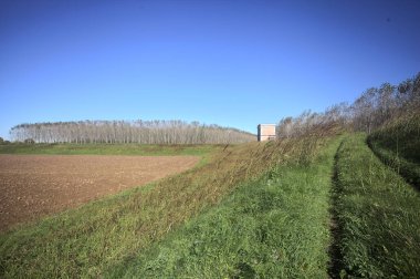 Bir tarlanın yanındaki toprak setin tepesindeki patika ve İtalya kırsalında eski bir binayla birlikte bir ağaç çiftliği.