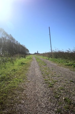 İtalya kırsalında çan kulesi ve kilise olan bir tarla ve bir ağaç çiftliğinin yanındaki patikada güneş ışığı gören bir çan kulesi.
