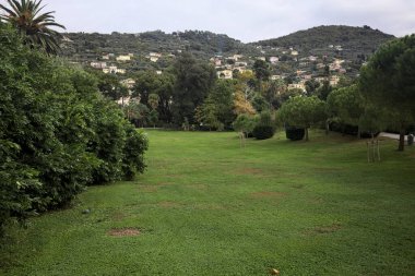 Üzerinde ağaçlar olan çimenler büyük bir bitki ve bulutlu bir günde arka planda evleri olan bir dağ sırtı ile çevrili.