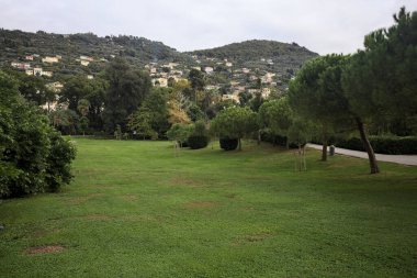 Üzerinde ağaçlar olan çimenler büyük bir bitki ve bulutlu bir günde arka planda evleri olan bir dağ sırtı ile çevrili.