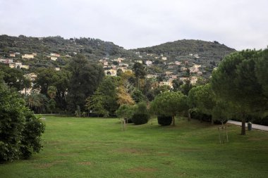 Üzerinde ağaçlar olan çimenler büyük bir bitki ve bulutlu bir günde arka planda evleri olan bir dağ sırtı ile çevrili.