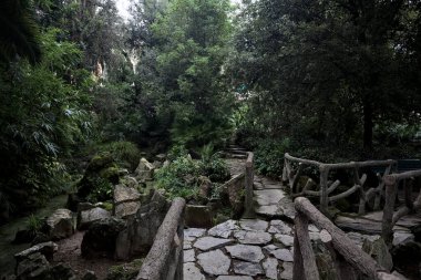 Taştan köprülü gölet ve parkın tenha bir bölgesinde gölgede ahşap raylar.