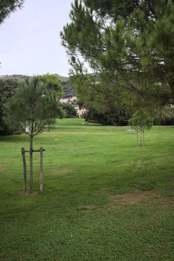 Üzerinde ağaçlar olan çimenler büyük bir bitki ve bulutlu bir günde arka planda evleri olan bir dağ sırtı ile çevrili.