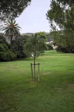 Üzerinde ağaçlar olan çimenler büyük bir bitki ve bulutlu bir günde arka planda evleri olan bir dağ sırtı ile çevrili.