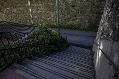 Beton merdiven kenarlarında çimenler, gölgede yolun kenarında.