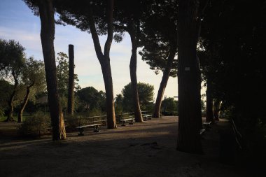 Deniz çam ağaçlarının yanındaki bankların olduğu teras ve gün batımında bir parkın korkulukları ile çevrili.