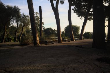 Deniz çam ağaçlarının yanındaki bankların olduğu teras ve gün batımında bir parkın korkulukları ile çevrili.