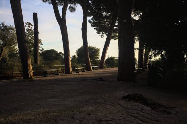 Deniz çam ağaçlarının yanındaki bankların olduğu teras ve gün batımında bir parkın korkulukları ile çevrili.