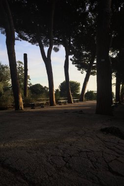 Deniz çam ağaçlarının yanındaki bankların olduğu teras ve gün batımında bir parkın korkulukları ile çevrili.