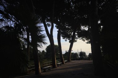 Deniz çam ağaçlarının yanındaki bankların olduğu teras ve gün batımında bir parkın korkulukları ile çevrili.