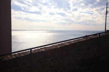 Güneşli bir günde ufukta uzanan deniz, suyun üzerine dökülen güneş lifi ile bir uçurumun kenarındaki bir grup ev ve bitkinin manzarayı çerçeveledikleri bir kayalıktan görülüyor.