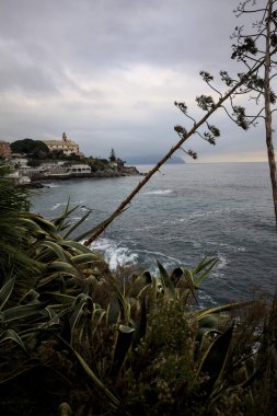 Ağaçlar, bitkiler ve balkonla çerçevelenmiş bulutlu bir günbatımında denize uzanan bir uçurumun tepesindeki ağaçlarla çevrili kilise.