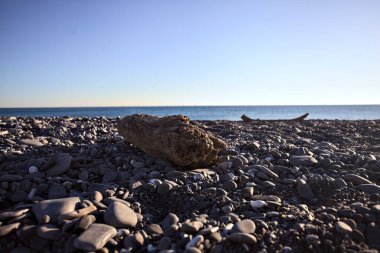 Drywood gün batımında çakıl taşlı bir plajda yatıyor. Sahilin hemen yanında.