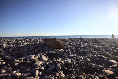 Drywood gün batımında çakıl taşlı bir plajda yatıyor. Sahilin hemen yanında.