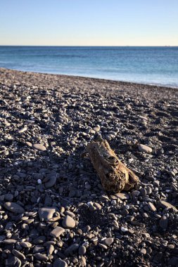 Drywood gün batımında çakıl taşlı bir plajda yatıyor. Sahilin hemen yanında.
