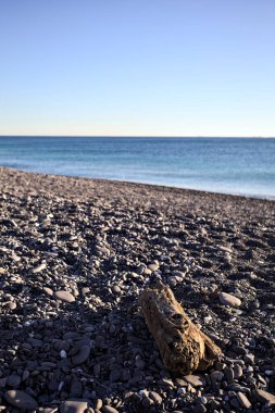 Drywood gün batımında çakıl taşlı bir plajda yatıyor. Sahilin hemen yanında.
