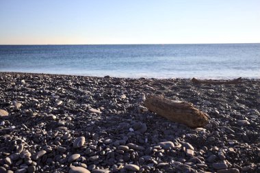 Drywood gün batımında çakıl taşlı bir plajda yatıyor. Sahilin hemen yanında.