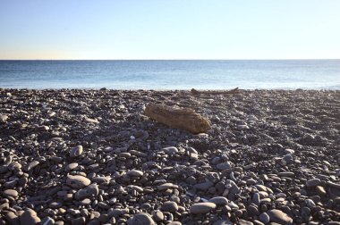 Drywood gün batımında çakıl taşlı bir plajda yatıyor. Sahilin hemen yanında.
