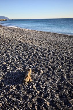 Drywood gün batımında çakıl taşlı bir plajda yatıyor. Sahilin hemen yanında.