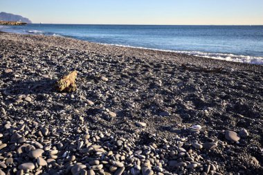 Drywood gün batımında çakıl taşlı bir plajda yatıyor. Sahilin hemen yanında.