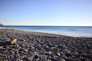Drywood gün batımında çakıl taşlı bir plajda yatıyor. Sahilin hemen yanında.