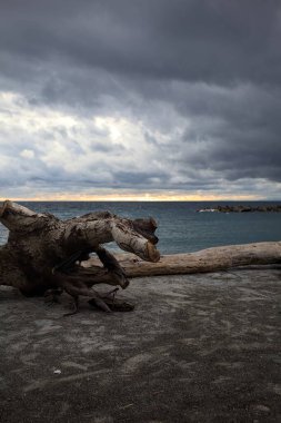Alacakaranlıkta bulutlu bir günde plajın yanındaki beton bir balkonda sürüklenen bir odun.