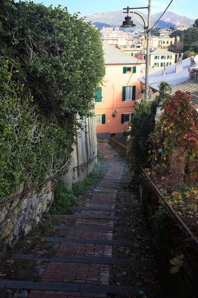 Merdiven, evlerin arasında beton bir korkulukla çevrili. Kısmen güneş gören bir uçurumun kenarında.