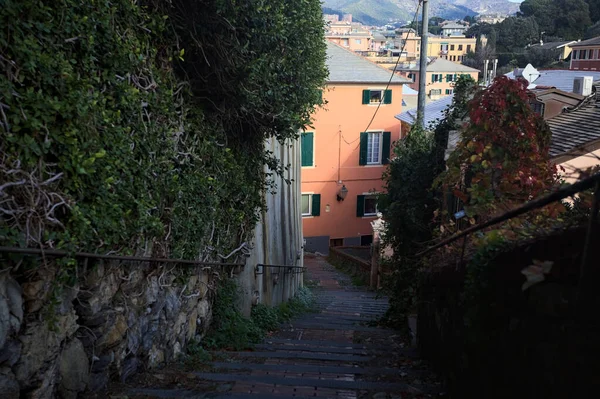 Merdiven, evlerin arasında beton bir korkulukla çevrili. Kısmen güneş gören bir uçurumun kenarında.