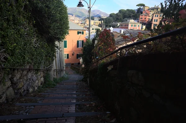 Merdiven, evlerin arasında beton bir korkulukla çevrili. Kısmen güneş gören bir uçurumun kenarında.