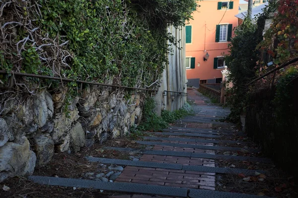 Merdiven, evlerin arasında beton bir korkulukla çevrili. Kısmen güneş gören bir uçurumun kenarında.