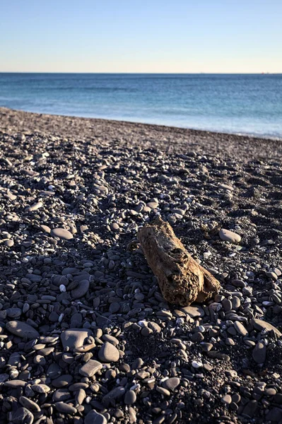 Drywood gün batımında çakıl taşlı bir plajda yatıyor. Sahilin hemen yanında.