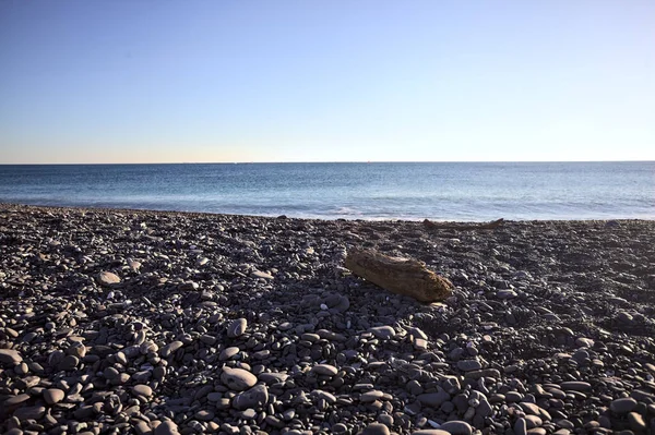 Drywood gün batımında çakıl taşlı bir plajda yatıyor. Sahilin hemen yanında.