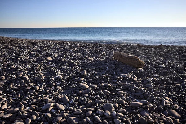 Drywood gün batımında çakıl taşlı bir plajda yatıyor. Sahilin hemen yanında.
