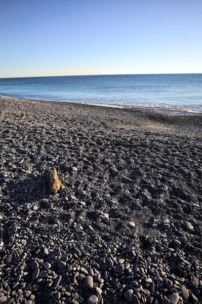 Drywood gün batımında çakıl taşlı bir plajda yatıyor. Sahilin hemen yanında.