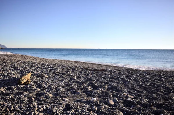 Drywood gün batımında çakıl taşlı bir plajda yatıyor. Sahilin hemen yanında.