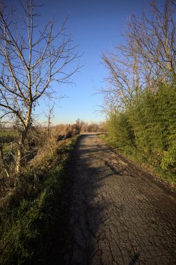 Gün batımında, kırsalda bir yola çıkan, neredeyse çıplak ağaçlarla çevrili toprak patika.