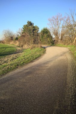 Gün batımında, kırsalda bir yola çıkan, neredeyse çıplak ağaçlarla çevrili toprak patika.