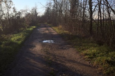 İtalya kırsalında gün batımında, çıplak ağaçlar ve suyla çevrili bir patika.