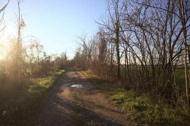 İtalya kırsalında gün batımında, çıplak ağaçlar ve suyla çevrili bir patika.