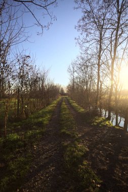 İtalya kırsalında gün batımında, çıplak ağaçlar ve suyla çevrili bir patika.