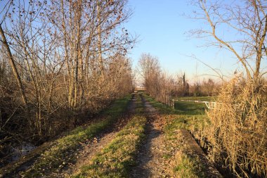 İtalya kırsalında gün batımında, çıplak ağaçlar ve suyla çevrili bir patika.