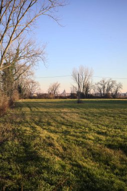 Uzaktaki bir kilisenin kubbesi, günbatımında İtalya kırsalında çıplak ağaçlarla çevrili.