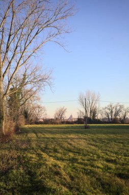 Uzaktaki bir kilisenin kubbesi, günbatımında İtalya kırsalında çıplak ağaçlarla çevrili.