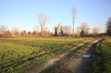 Gün batımında İtalya kırsalında, bir tarlanın yanında çıplak ağaçlarla çevrili toprak bir patikada eğilin.